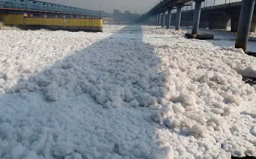 BJP Chief Dips in Polluted Yamuna