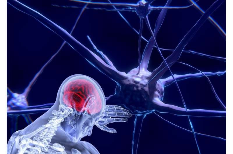 AI Outperforms Experts in Predicting Neuroscience Study Results